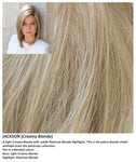 Jackson wig Rene of Paris Noriko (VAT Exempt) - Hairlucinationswigs Ltd