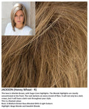 Jackson wig Rene of Paris Noriko (VAT Exempt) - Hairlucinationswigs Ltd