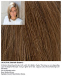 Jackson wig Rene of Paris Noriko (Long) - Hairlucinationswigs Ltd