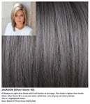 Jackson wig Rene of Paris Noriko (Long) - Hairlucinationswigs Ltd