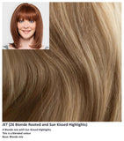 Jet Human Hair wig Gem Collection (Long) - Hairlucinationswigs Ltd