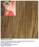 Joey wig Rene of Paris Hi-Fashion (Short) - Hairlucinationswigs Ltd