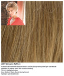 Joey wig Rene of Paris Hi-Fashion (VAT Exempt) - Hairlucinationswigs Ltd