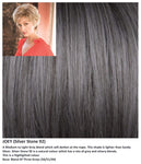 Joey wig Rene of Paris Hi-Fashion (VAT Exempt) - Hairlucinationswigs Ltd