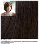 Jolie wig Rene of Paris Noriko (Medium) - Hairlucinationswigs Ltd