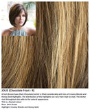 Jolie wig Rene of Paris Noriko (Medium) - Hairlucinationswigs Ltd