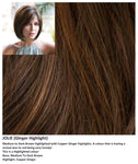 Jolie wig Rene of Paris Noriko (Medium) - Hairlucinationswigs Ltd