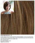 Jolie wig Rene of Paris Noriko (VAT Exempt) - Hairlucinationswigs Ltd