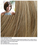 Jolie wig Rene of Paris Noriko (VAT Exempt) - Hairlucinationswigs Ltd