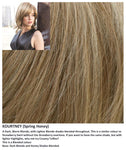 Kourtney wig Rene of Paris Hi-Fashion (Medium) - Hairlucinationswigs Ltd
