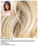 Levy wig Rene of Paris Amore (Medium)
