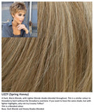 Lizzy wig Rene of Paris Hi-Fashion (Short) - Hairlucinationswigs Ltd