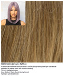 Mod Sleek wig Rene of Paris Muse Collection (Long) - Hairlucinationswigs Ltd