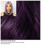 Mod Sleek wig Rene of Paris Muse Collection (Long) - Hairlucinationswigs Ltd