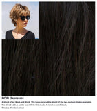 Nori wig Rene of Paris Noriko (VAT Exempt)