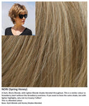 Nori wig Rene of Paris Noriko (VAT Exempt)
