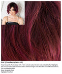 Rae wig Rene of Paris Hi-Fashion (Short) - Hairlucinationswigs Ltd