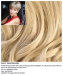 Sally wig Rene of Paris Noriko (Short) - Hairlucinationswigs Ltd