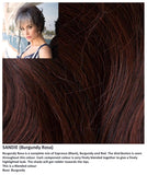 Sandie wig Rene of Paris Noriko (Short) - Hairlucinationswigs Ltd