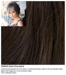 Sandie wig Rene of Paris Noriko (Short) - Hairlucinationswigs Ltd