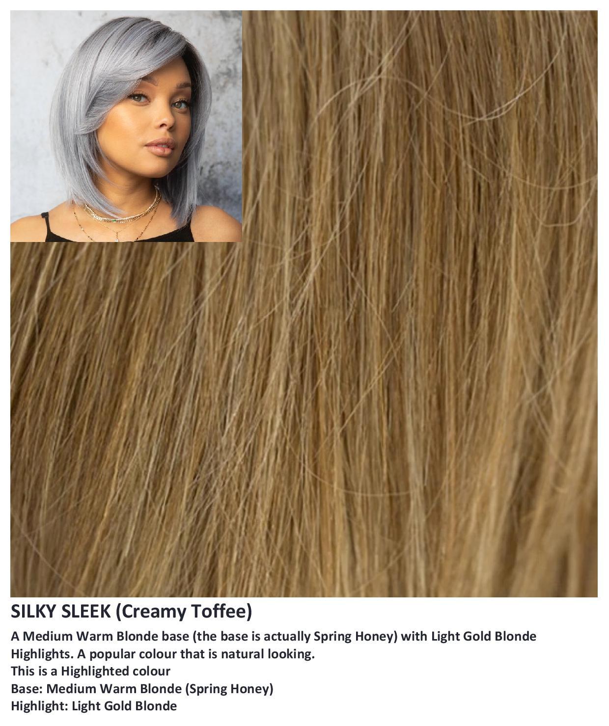 Silky Sleek wig Rene of Paris Muse Collection (Medium) - Hairlucinationswigs Ltd