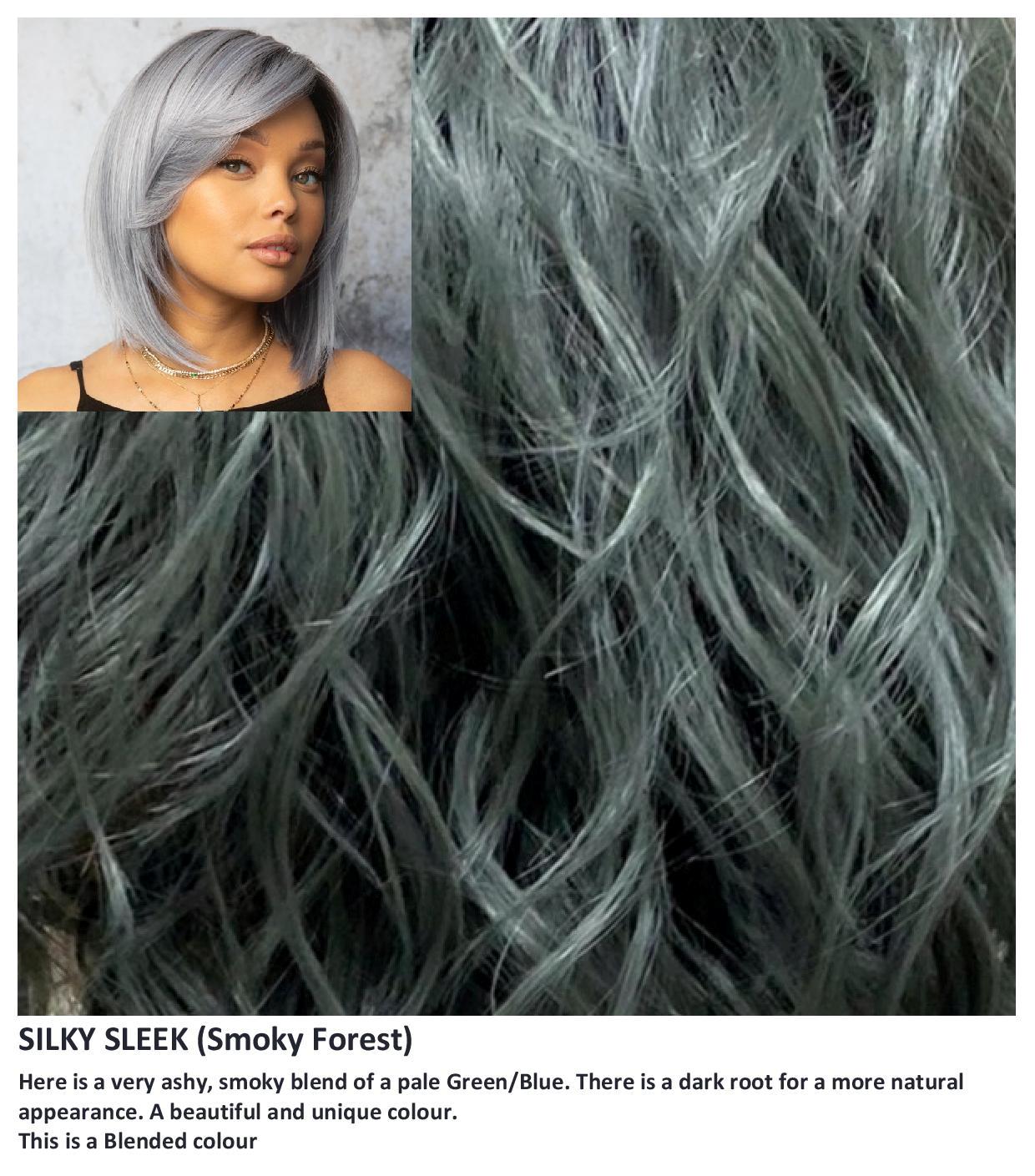 Silky Sleek wig Rene of Paris Muse Collection (Medium) - Hairlucinationswigs Ltd