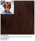 Sky wig Rene of Paris Noriko (Short) - Hairlucinationswigs Ltd