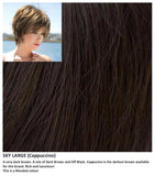 Sky Large wig Rene of Paris Noriko (Short) - Hairlucinationswigs Ltd