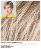 Sorento Mono wig Stimulate Art Class Collection (Short)