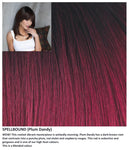 Spellbound wig Rene of Paris Orchid Collection (Long)