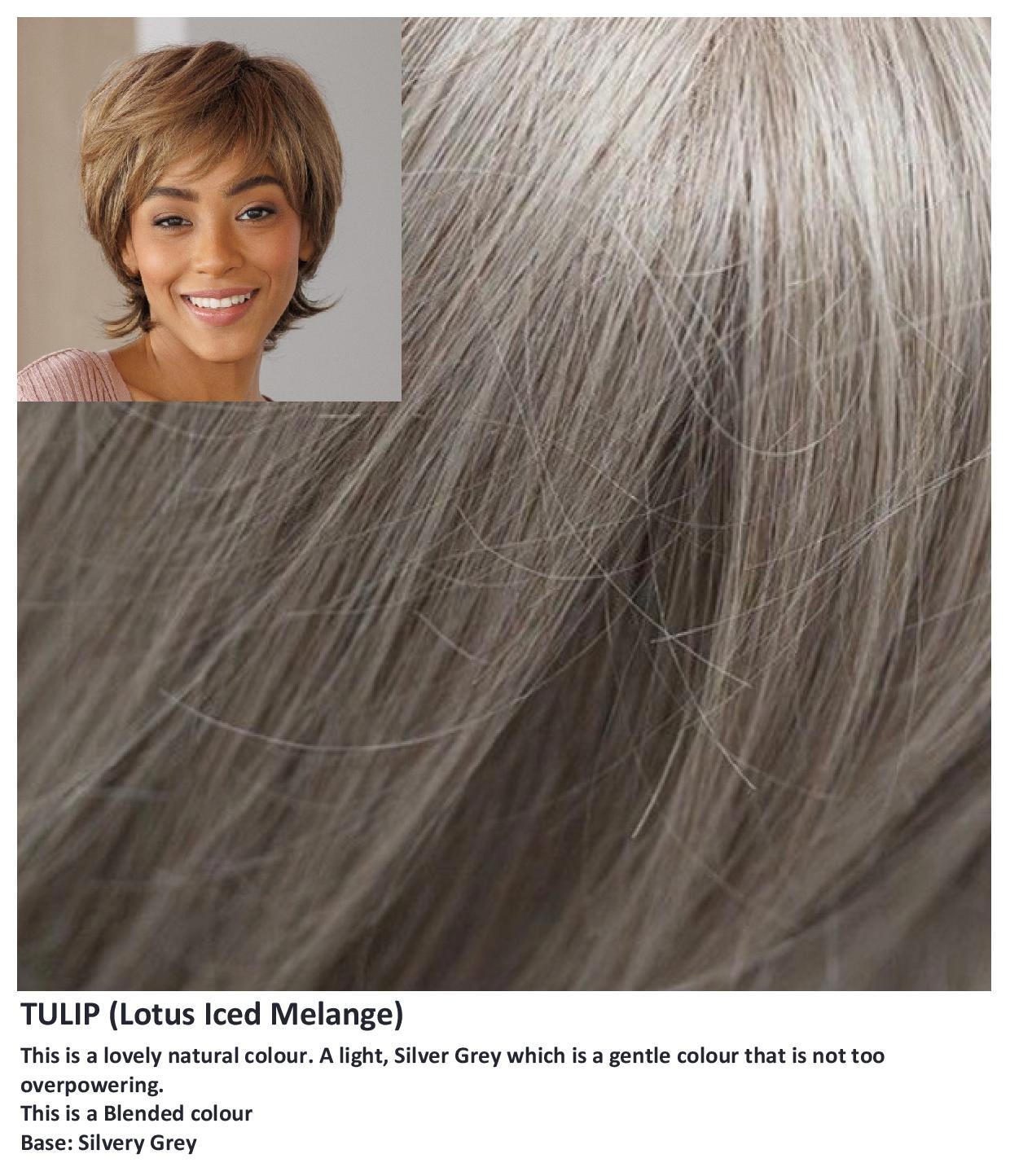 Sentoo Lotus :: Tulip