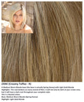 Zane wig Rene of Paris Noriko (Medium)