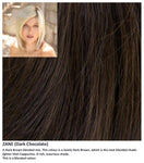 Zane wig Rene of Paris Noriko (Medium)