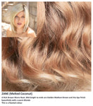 Zane wig Rene of Paris Noriko (Medium)