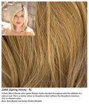Zane wig Rene of Paris Noriko (Medium)